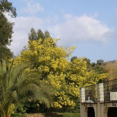 Jardins D'Antalya Bed and Breakfast Grimaud Exterior foto