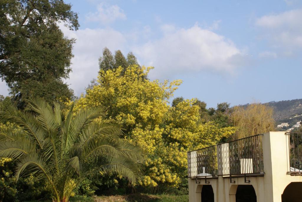 Jardins D'Antalya Bed and Breakfast Grimaud Exterior foto